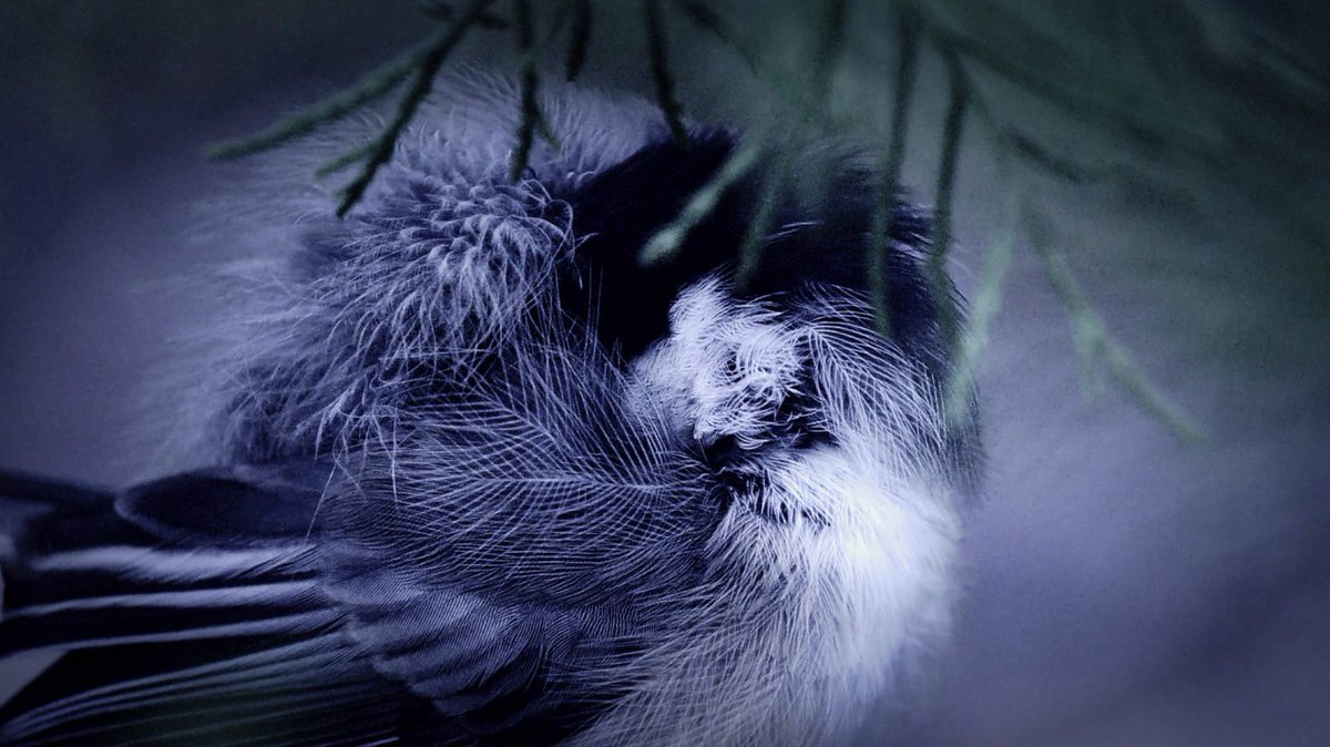 Asleep ow.ly/4c6P106szZm