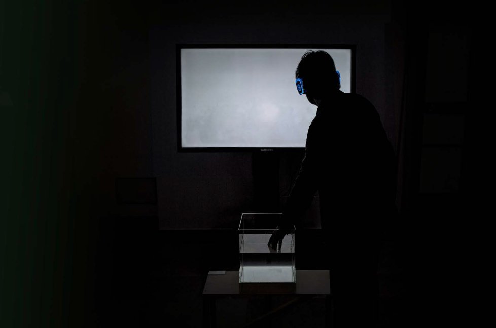 ryuichi sakamoto tweet media