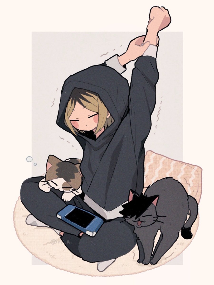 rii_A_'s tweet photo. 🐈🎮 https://t.co/cliSFttDBc