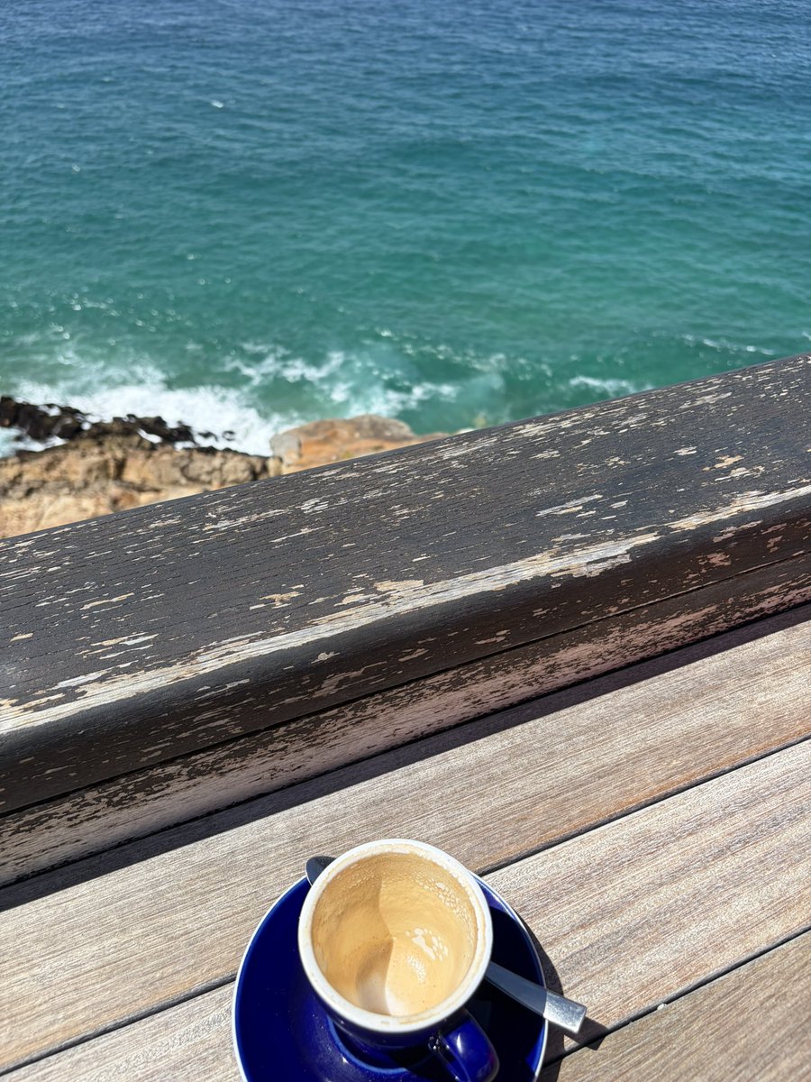 Annemarëe Meyer tweet media