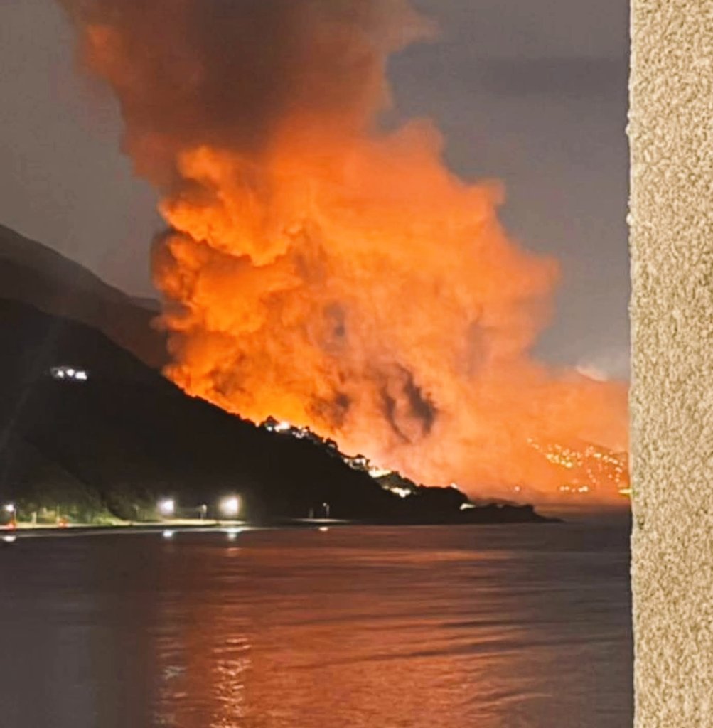 Intervencion Policial tweet media