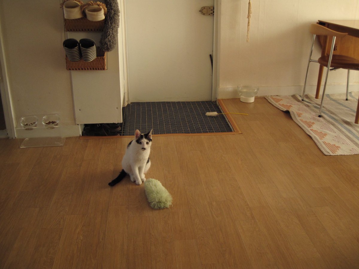 벼ㄹ! (@duelree) on Twitter photo 