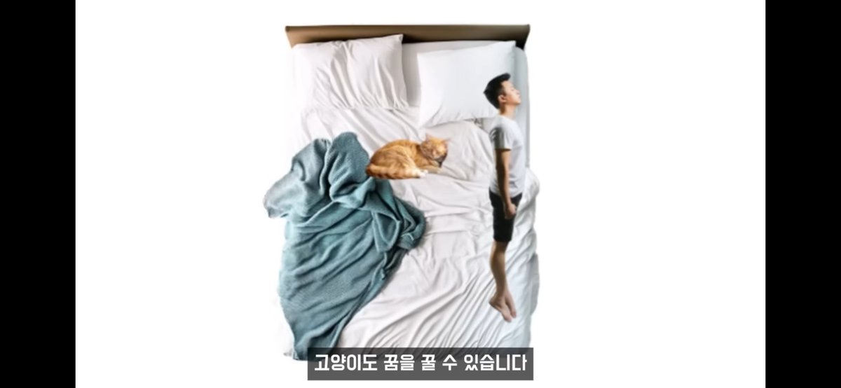 고양이쪽이 사실과 다른 부분이 있네요