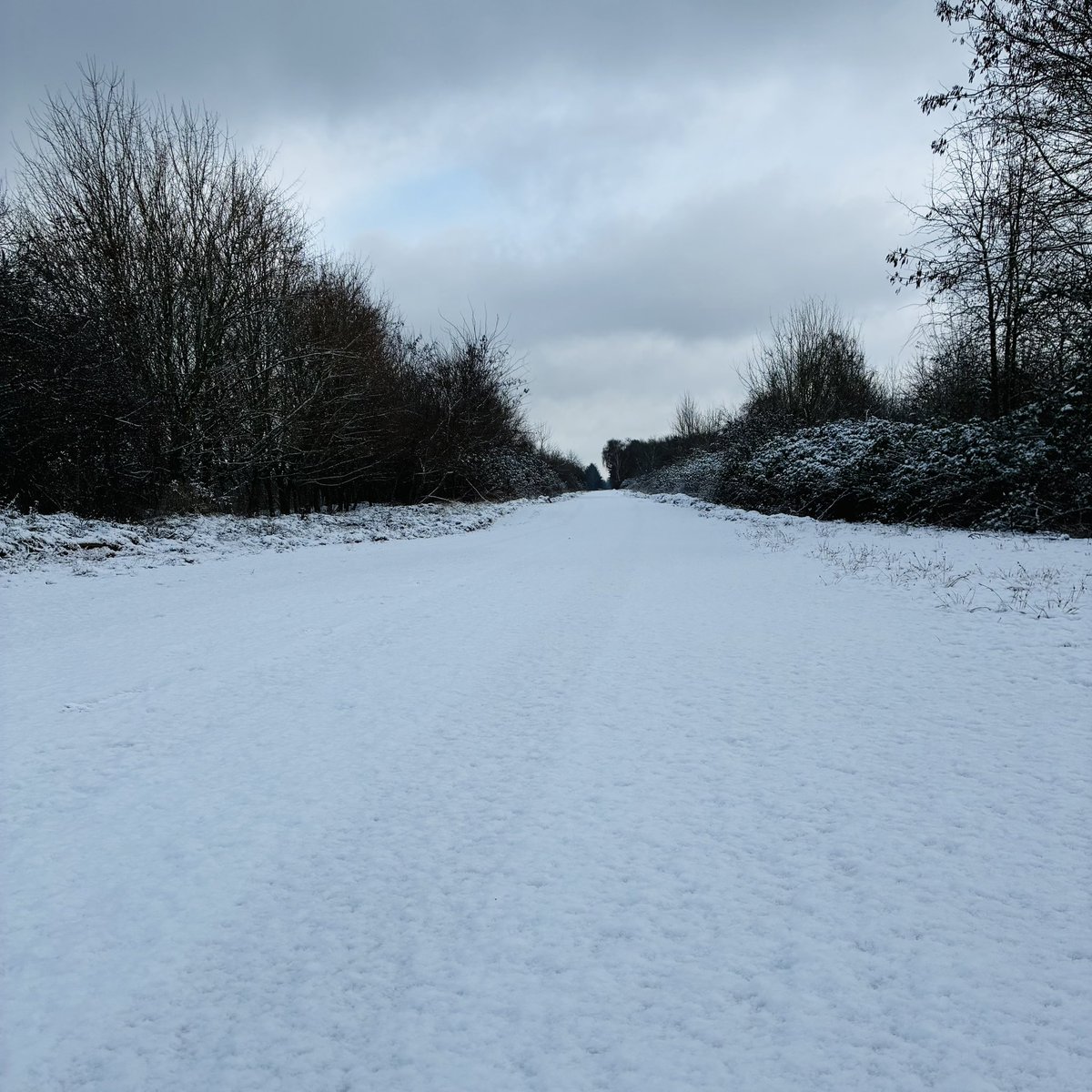 Ma®️ty tweet media