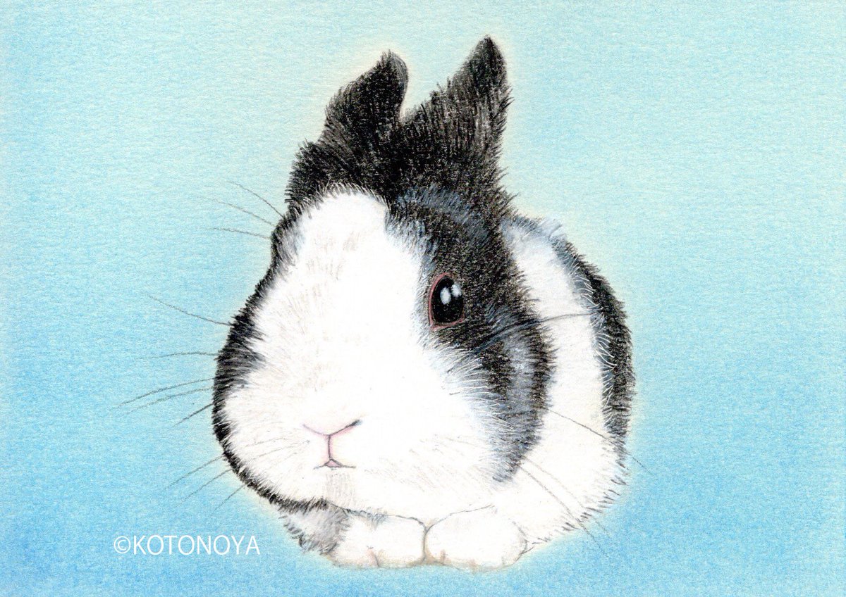 うさぎ作品展inTwitter #うさぎ作品展inX いつもありがとうございます