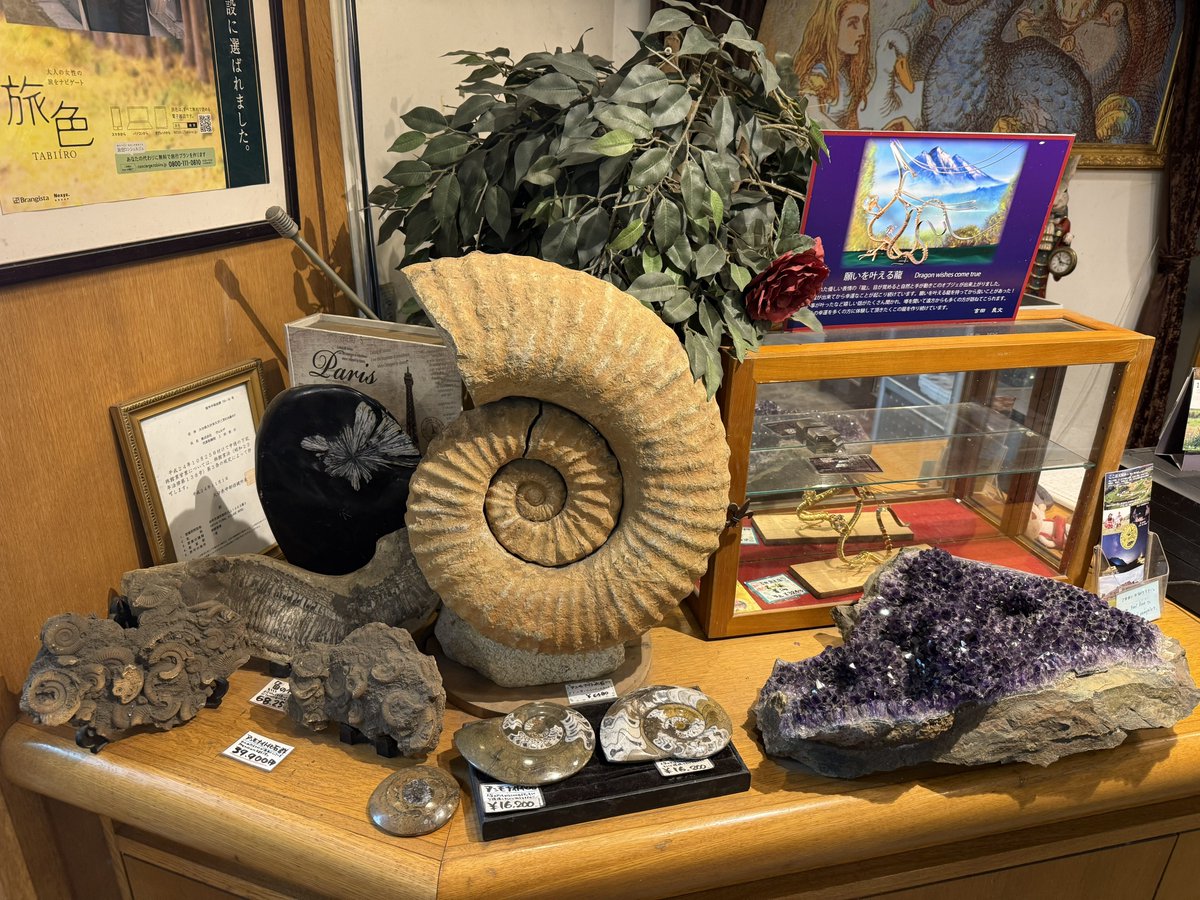 Michael Grönert tweet media