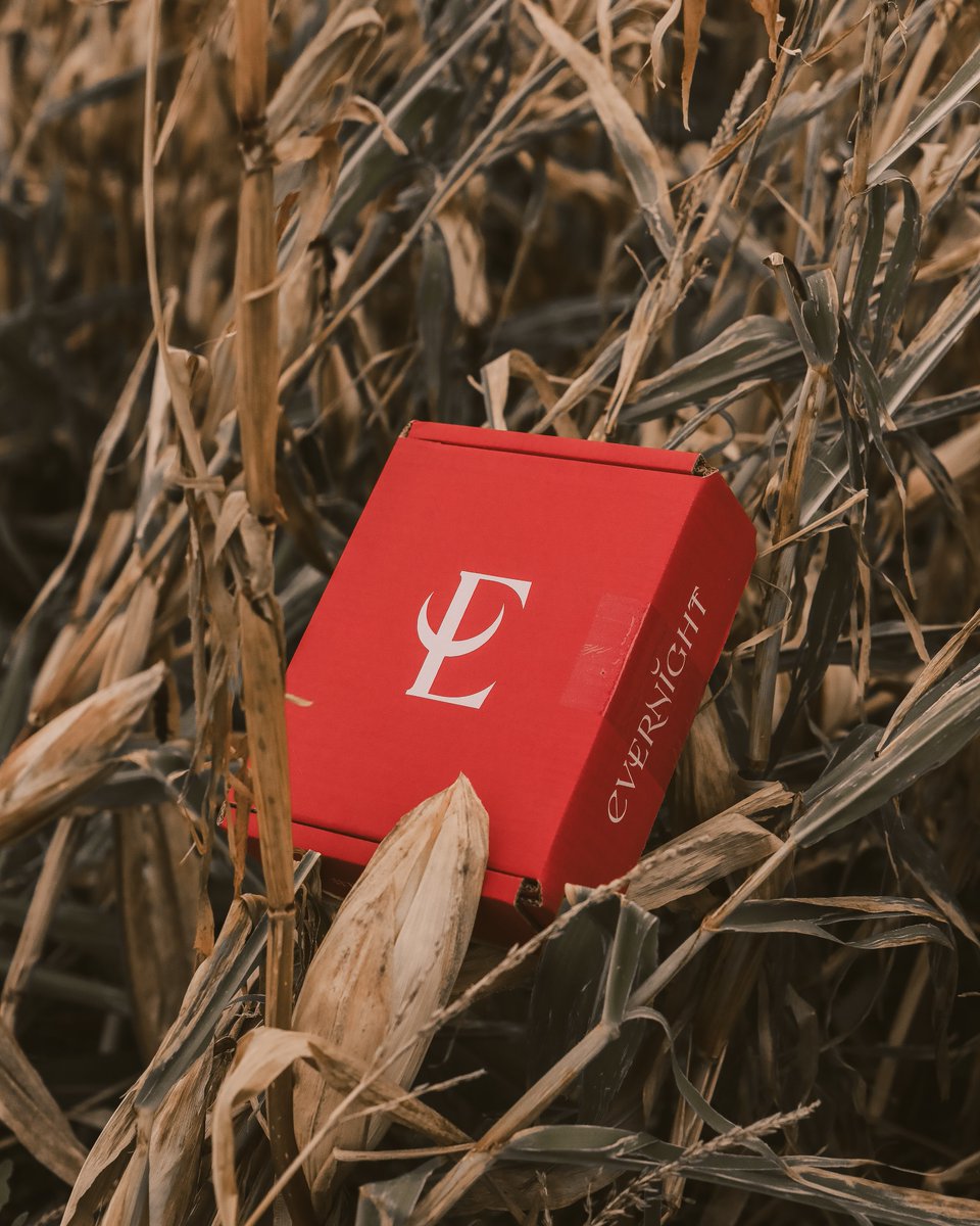 Illumicrate ✨ tweet media