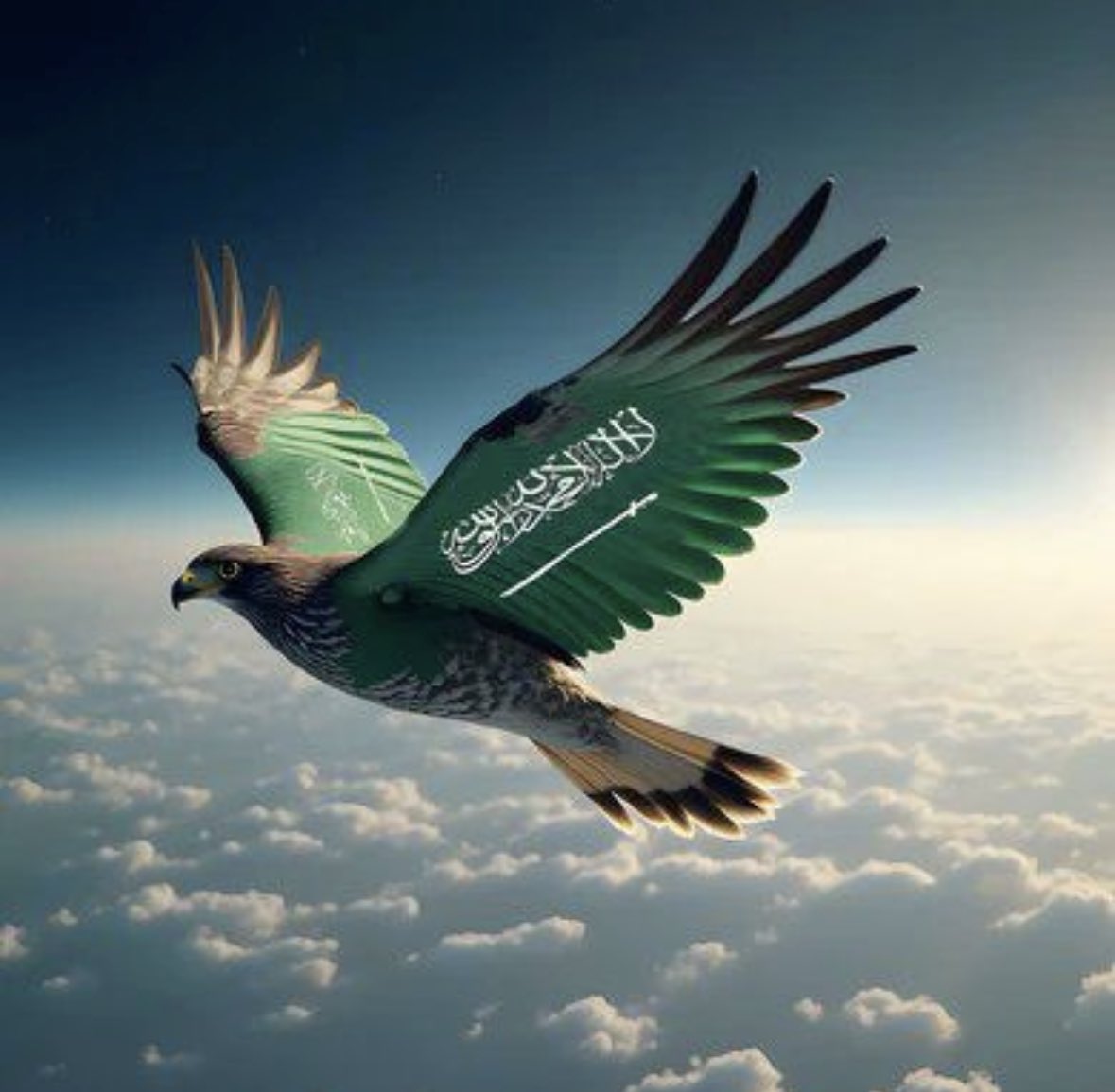 أ.د.خالد ناصر القحطاني (@knqahtani) on Twitter photo 