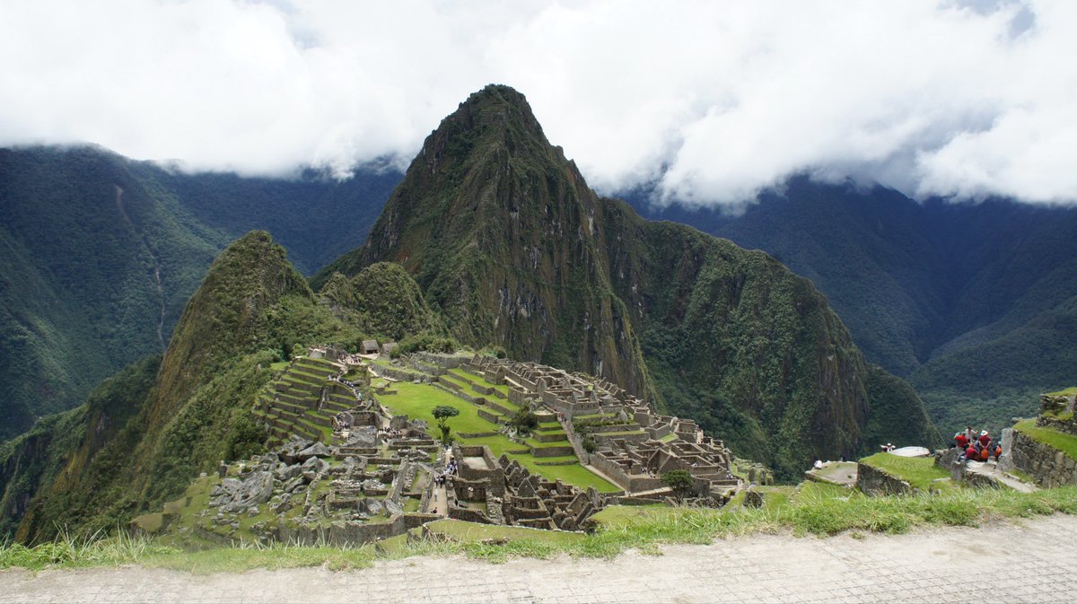 alan crawford tweet media