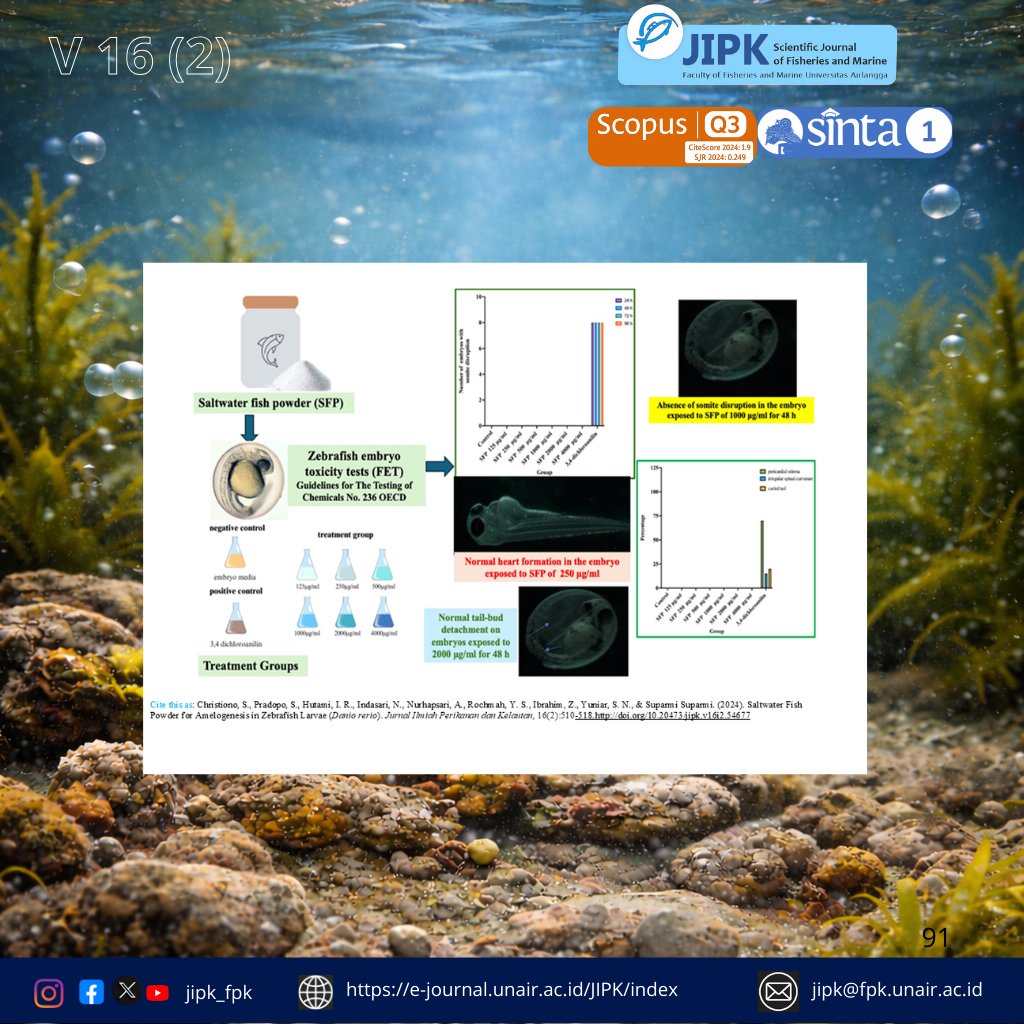 jipk19's tweet photo. Is Saltwater Fish Powder Toxic? A Zebrafish Embryo Test Says No
Highlight Research
1. The saltwater fish powder is rich in omega3, vitamin D, and calcium which helps tooth amelogenesis.
silakan kunjungi tautan ini:
https://t.co/VzioQU3nlB
#fpkunair
#zipk
#scopus
#jurnalscopus https://t.co/voRWN078x3