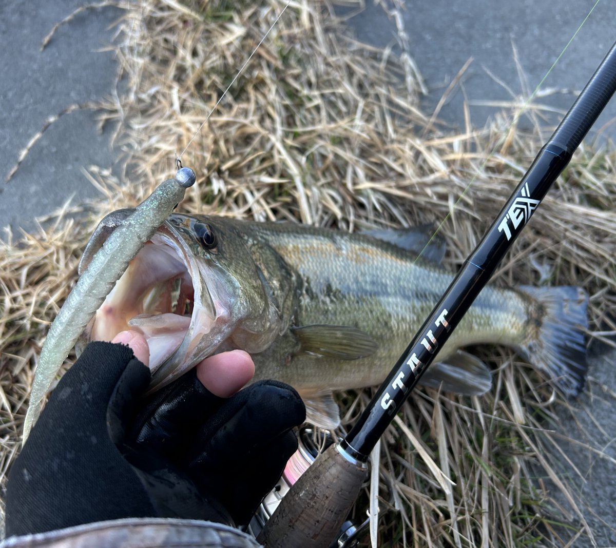 issan_haguubass's tweet image. 2026年1/1元旦釣行！
霞ヶ浦本湖で初バス！ヴァラップミノーのパワーミドストにて無事開幕！

使用タックルはオカッパリバーサタイルのTSS64L+-ST！
パワーミドストにドンピシャです👍
真冬の霞水系でも必須の1本、1年中車に積んでおきたいロッドです😀