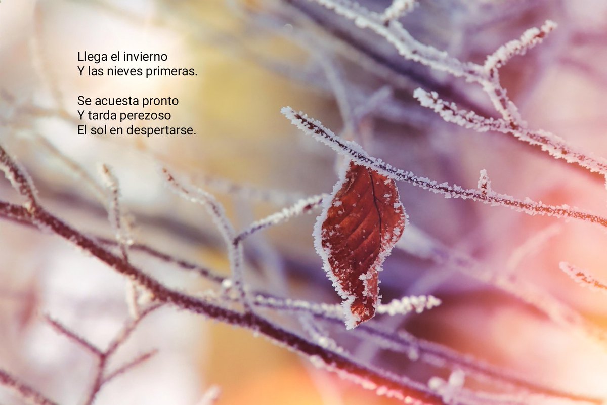 No recanto segredo poesia: Solsticio de Invierno       ( Tanka ) poemasnorecantosegredo.blogspot.com/2025/12/solsti…

#comparteestepoema #regalapoesía
