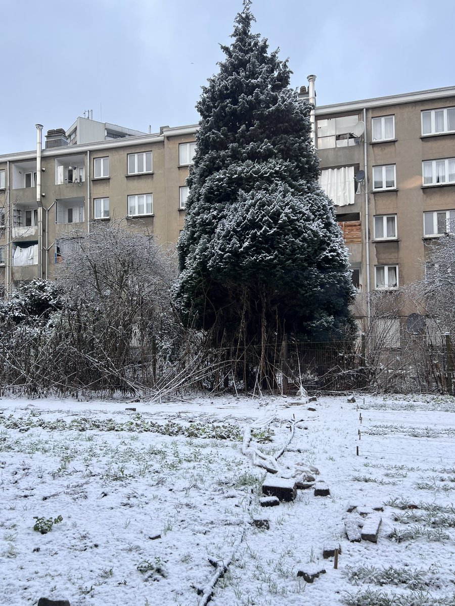 checo_hec's tweet photo. 🤍🥶 https://t.co/oopRyZZKCx