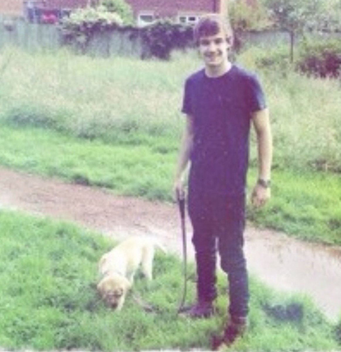 LiamCrave's tweet photo. Rest in peace Brit Beau Payne https://t.co/Nss4tMsRJe