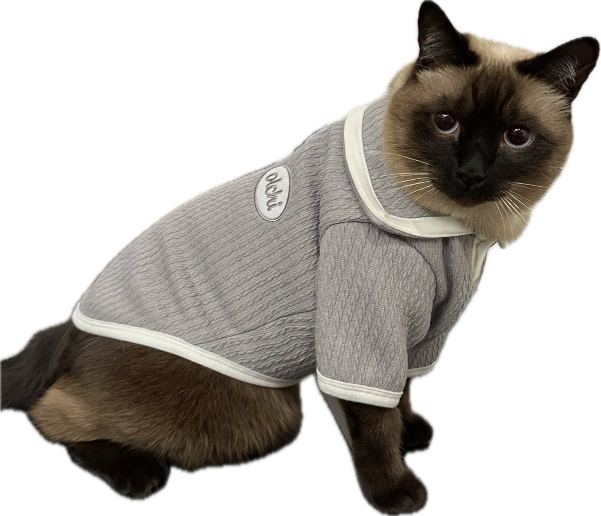 🐱บ้านเตนล์หนาวมากจริงๆครับ หนาวสุดๆ แมวของเตนล์คือ 🫨🫨(ทำท่าสั่นๆ)
OP: งั้น Louis จะเปลี่ยนเป็นสีดำมั้ย
🐱ดำมากแล้วครับ ไม่สามารถดำไปมากกว่านี้แล้วครับตอนนี้