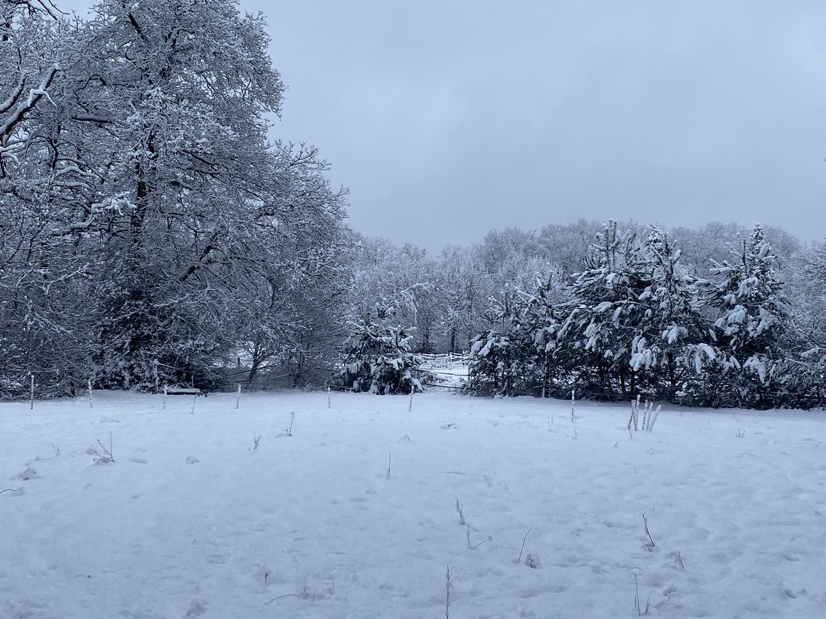 trischababe's tweet image. ♥️♥️♥️♥️