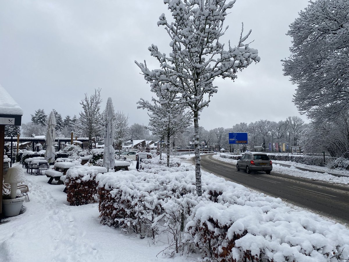 trischababe's tweet image. ♥️♥️♥️♥️