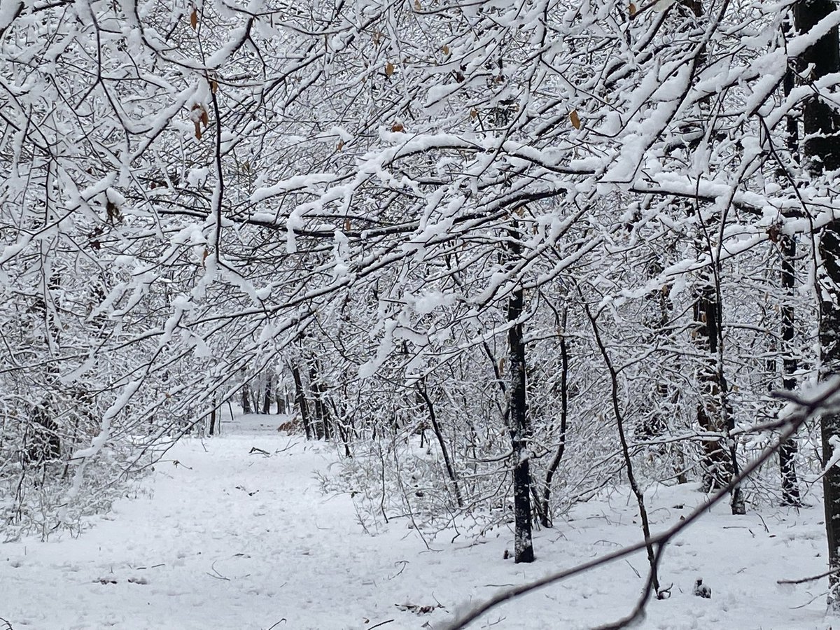 trischababe's tweet image. ♥️♥️♥️♥️