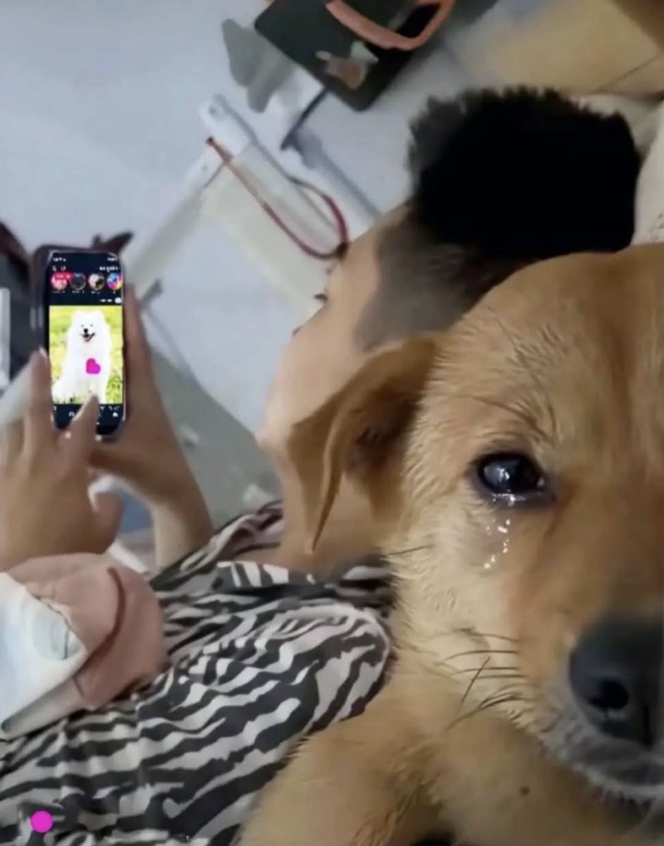 HumansNoContext's tweet image. 