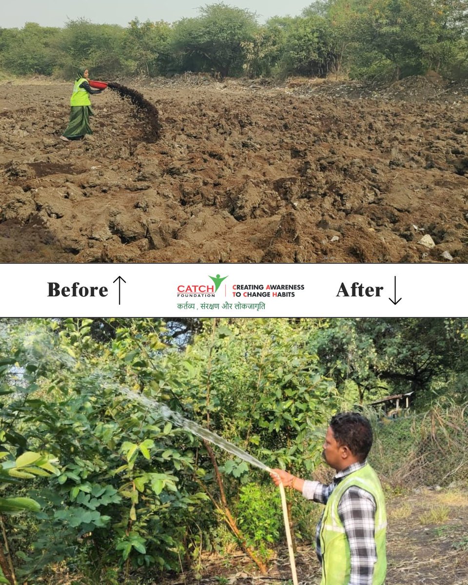 Catchfoundatio1's tweet photo. From land preparation to nurturing young trees, 5000 saplings have now grown into a green space in #Indore, #MadhyaPradesh. This transformation reflects the dedication & consistent efforts of the Catch team on the ground.
#catchfoundation #treecare #teamCATCH #urbanforest #trees https://t.co/4FuUA06NkX