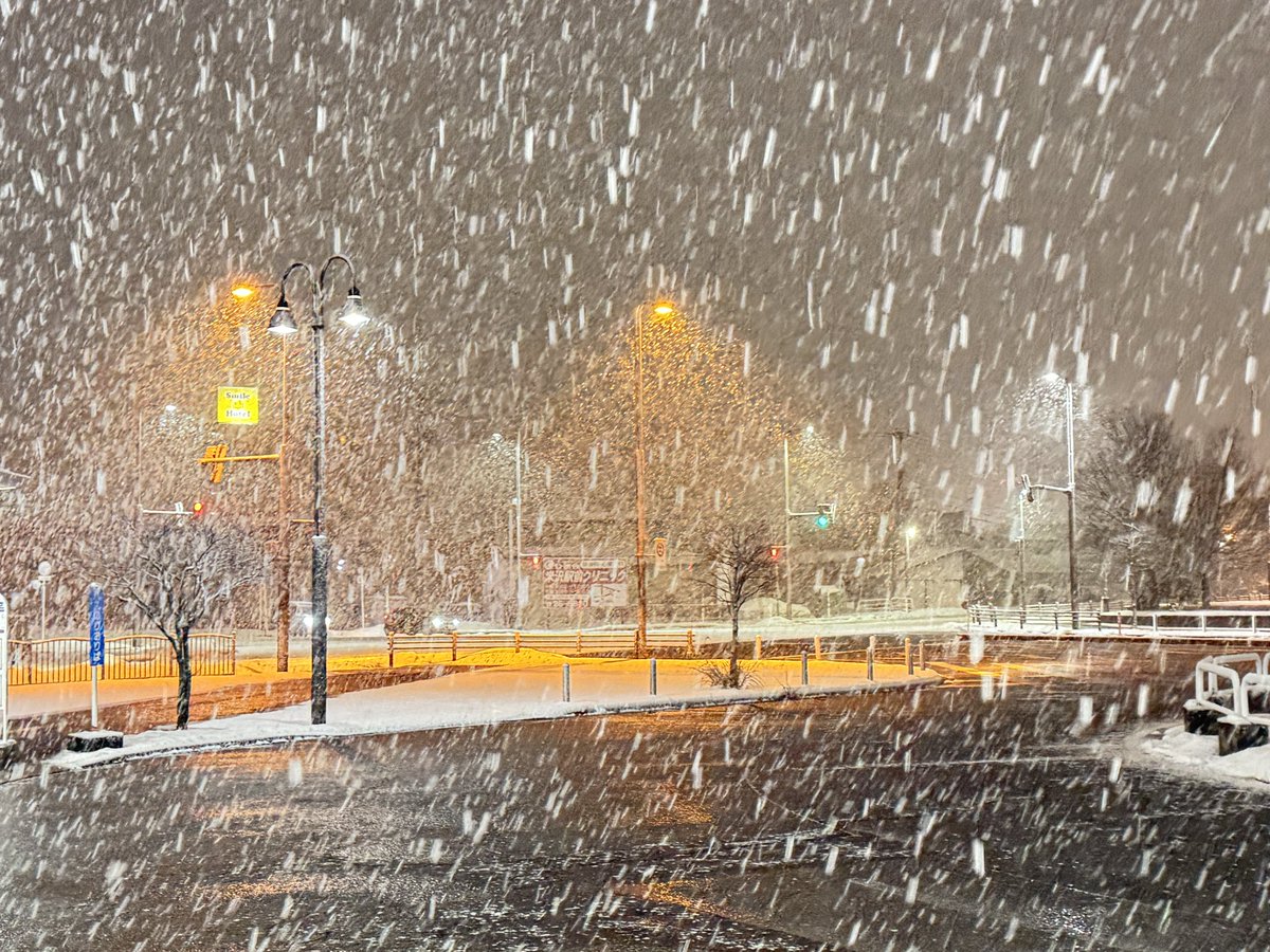 irochigi's tweet photo. この雪景色も見納め。 https://t.co/okieAtWeXT