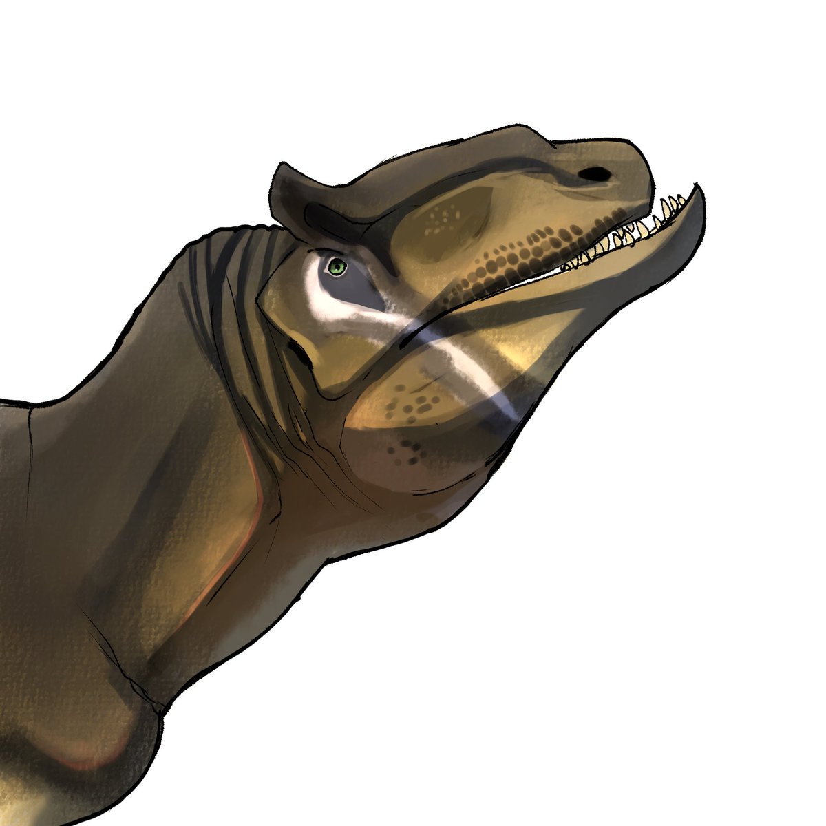 MRJEFFTHEALLOS's tweet image. GOATED ALLO