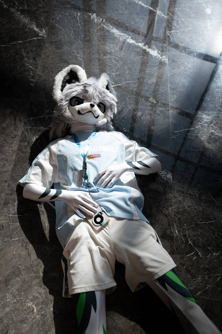 夏凉凉凉凉凉 tweet media