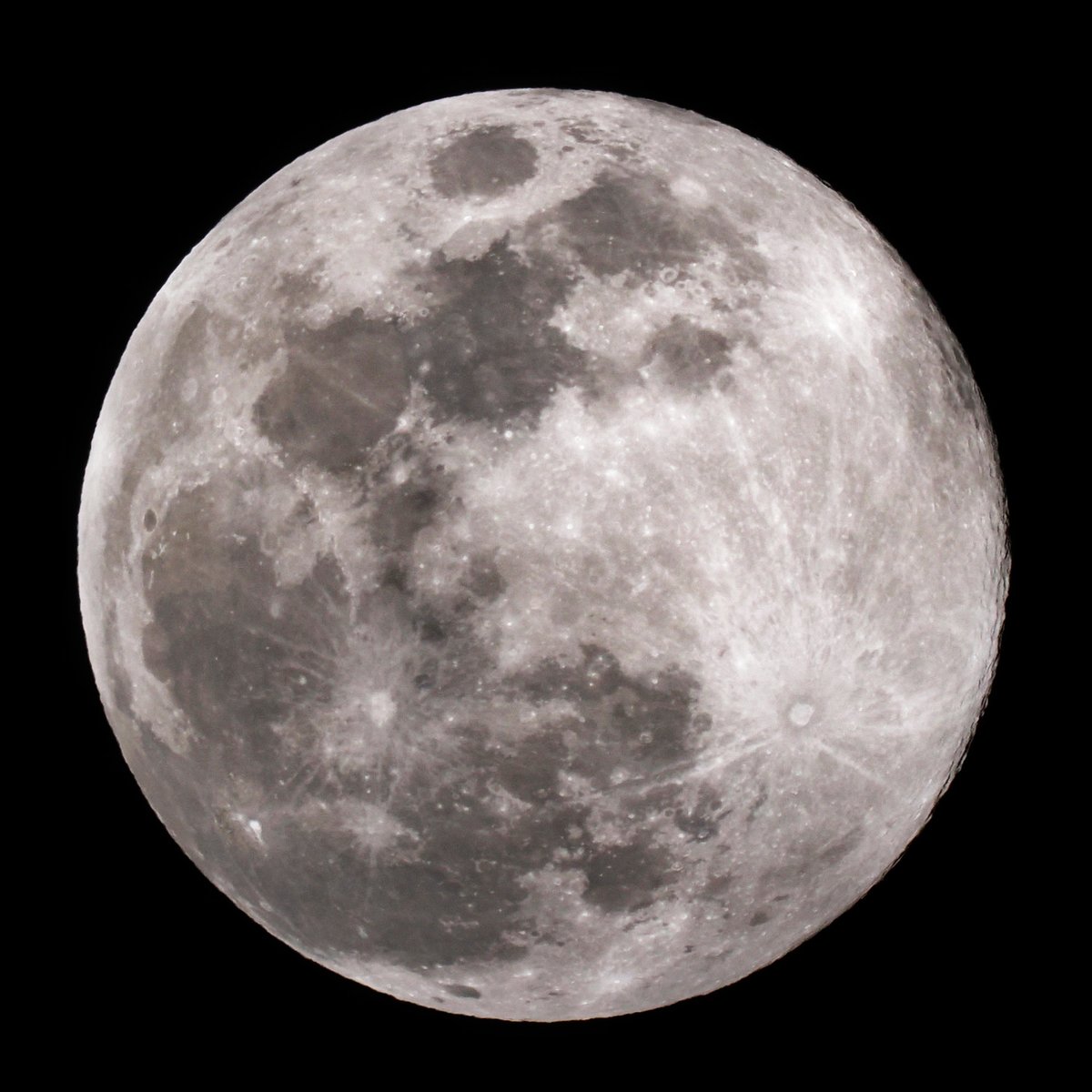 スーパームーン S adidas-originals-zx-8000-