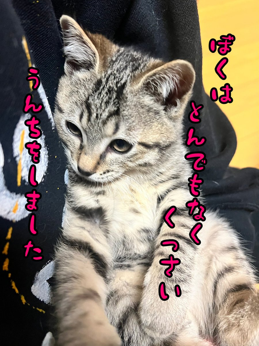 すげーくさかったよ