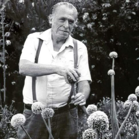 "Seuls les fous et les solitaires peuvent se permettre d'être eux-mêmes. Les solitaires n'ont personne à qui plaire et les fous s'en foutent complètement de plaire ou pas." 
Charles Bukowski