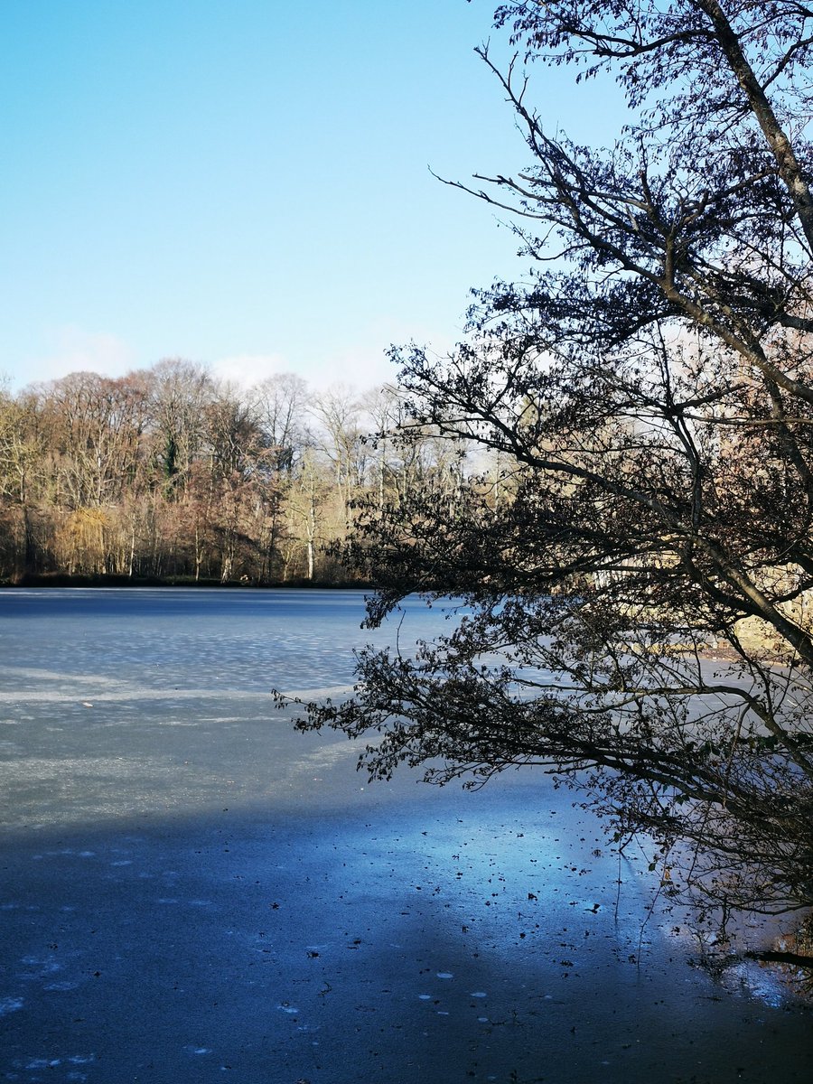 Promenade gelée et ensoleillée !