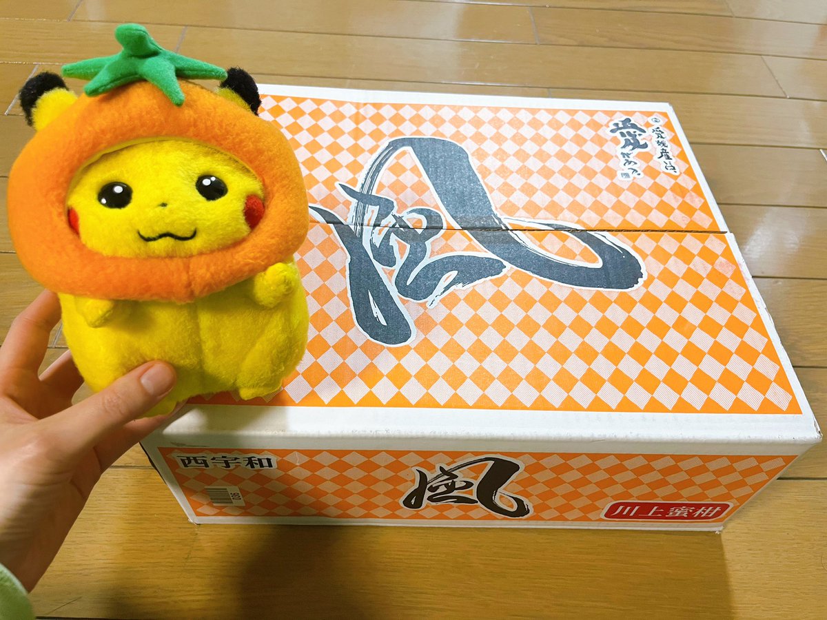 うーちゃん（あや） (@wQw9u_chan) / Posts / X