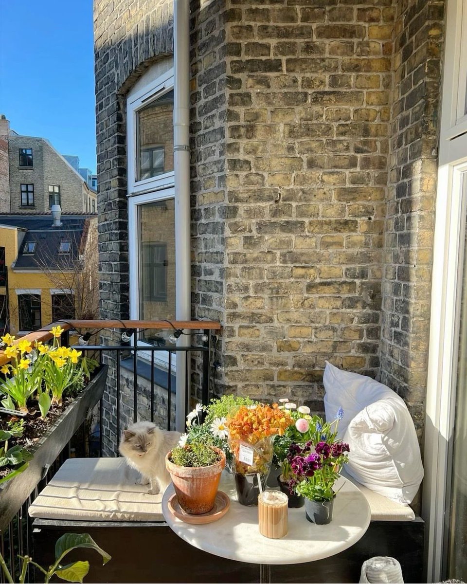 pradavante's tweet photo. can’t wait to spend days on my balcony https://t.co/Fn3hJ6inVz