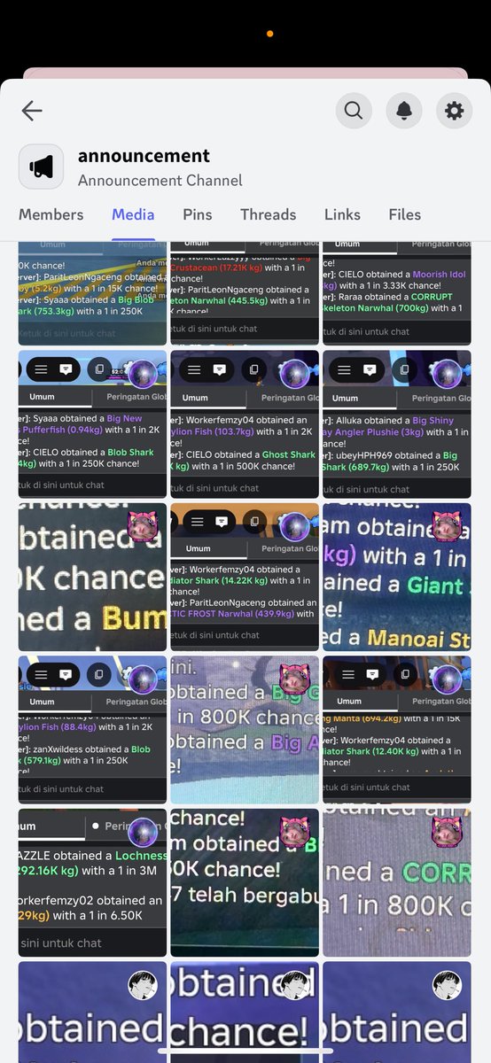 Kie. 400+ testi 💗 tweet media