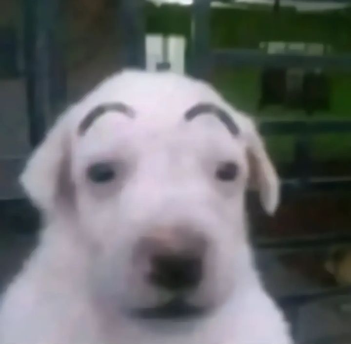 Primero la IA y luego la captura de maduro en días seguidos, no quiero saber que sigue mañana, se muere alguien de Hollywood?