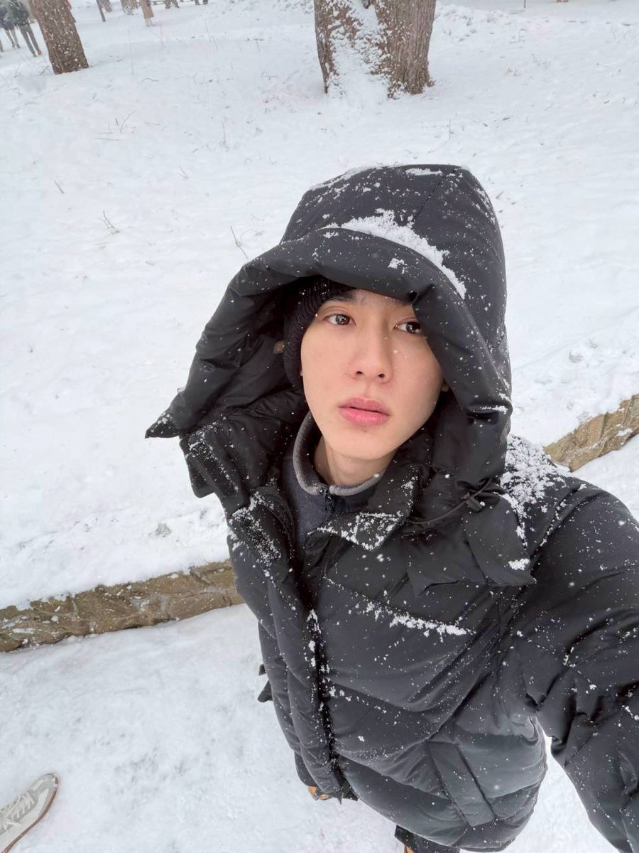 もこもこ／Moko (@mokomoko329ak) / Posts / X