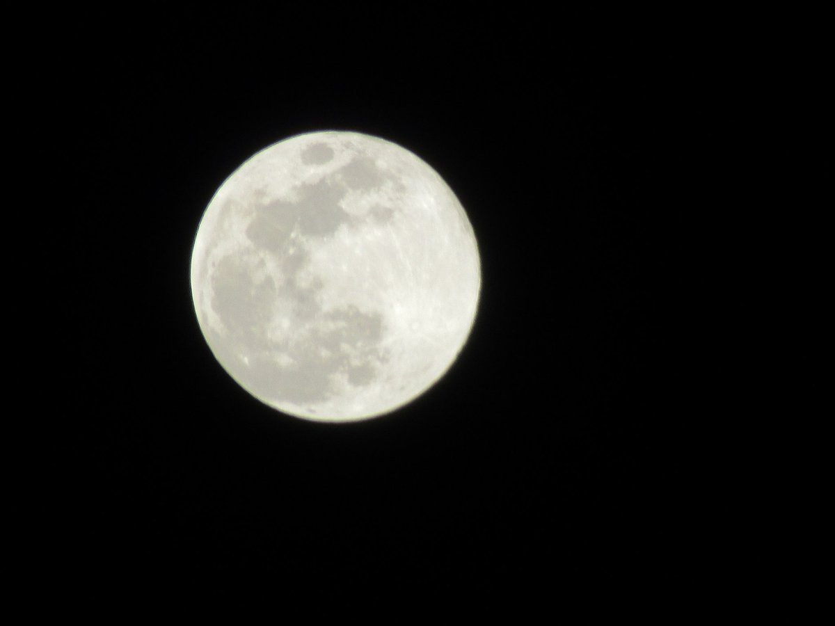 今夜の月 満月？ んで、その下にもきれいな星、調べてみると木星かな