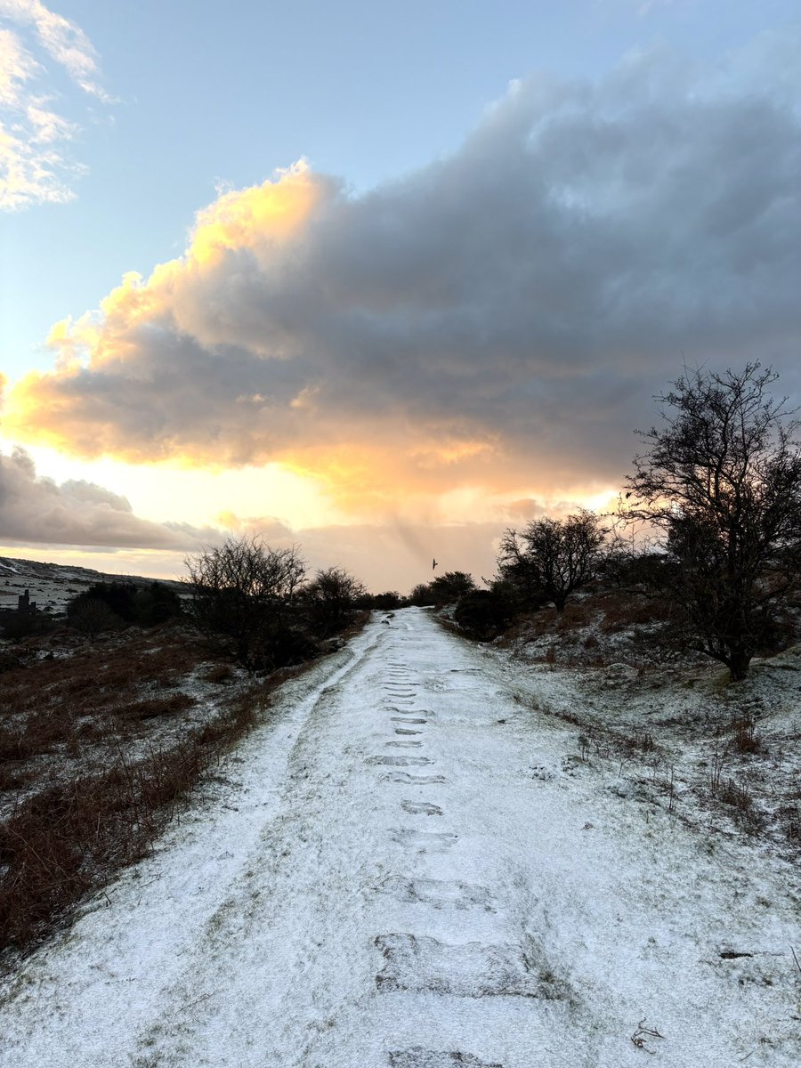 Cornwallskies tweet media