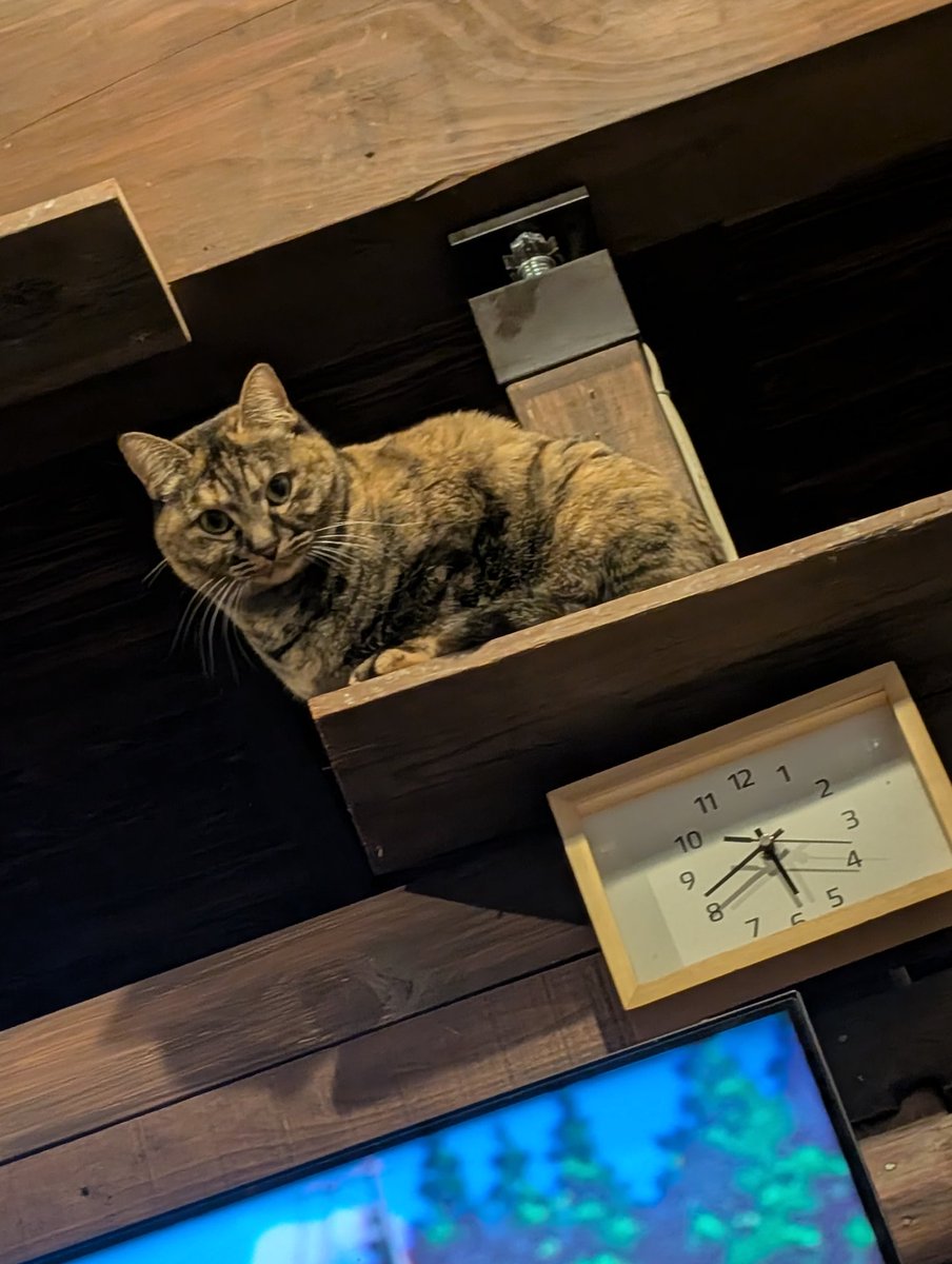 下等生物を見る目だ…