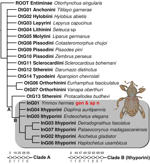 Integrative Systematics tweet media