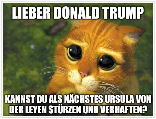 Der rosarote Panzer tweet media