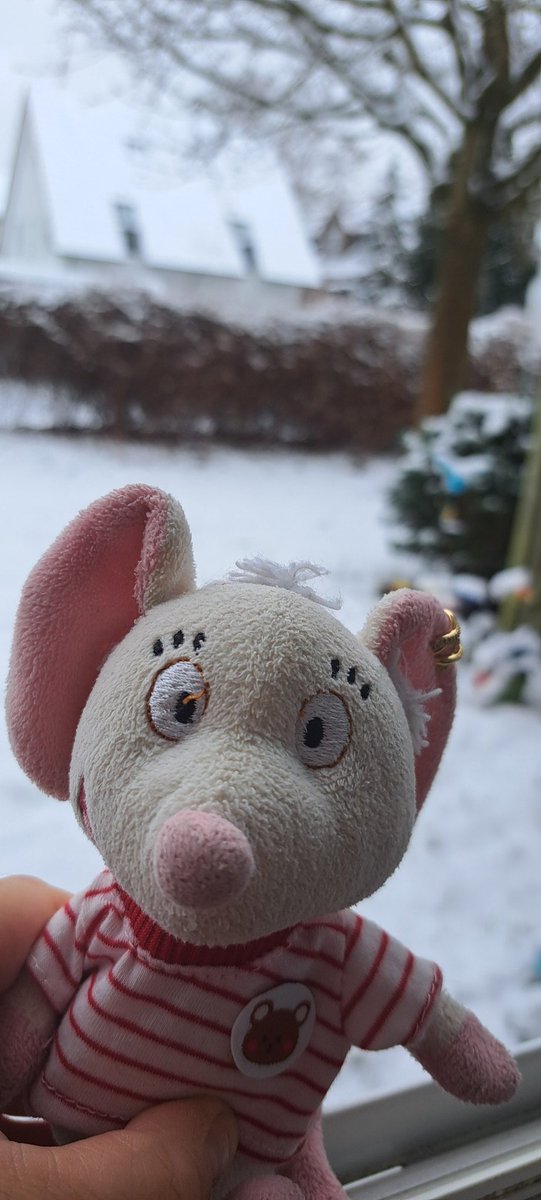 Moin ihr Lieben, schönen Samstag gewünscht, heute mal mit Schnee🐭🥳