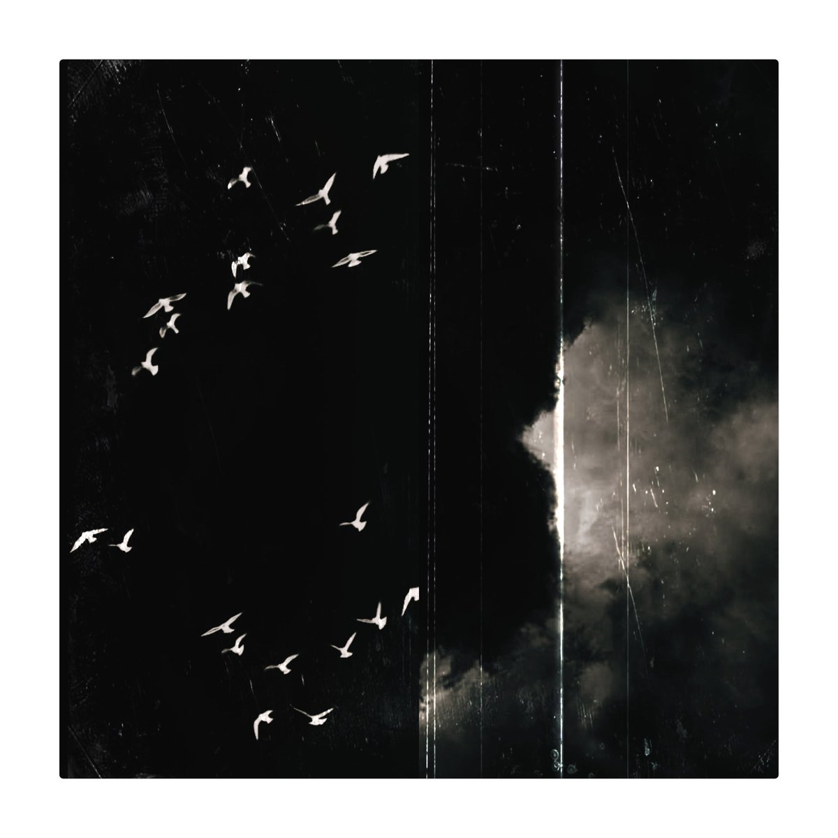 “What good are wings 
   without the courage to fly."
      — Atticus