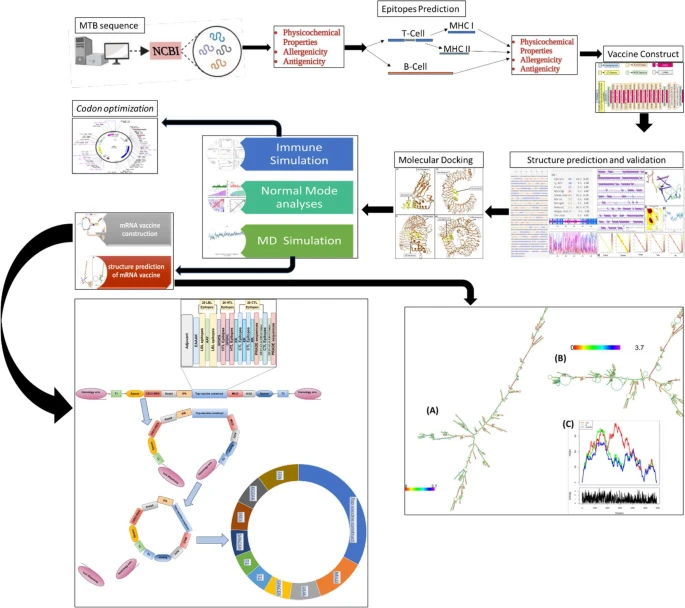 Aller_MD's tweet photo. TZ1391: a computationally designed circular #mRNA multi-epitope #vaccine candidate against #Mycobacterium #tuberculosis via #TLR3 #immunomodulation. Open Access. https://t.co/bEP4sKARk7 https://t.co/e1Sa1jU27L