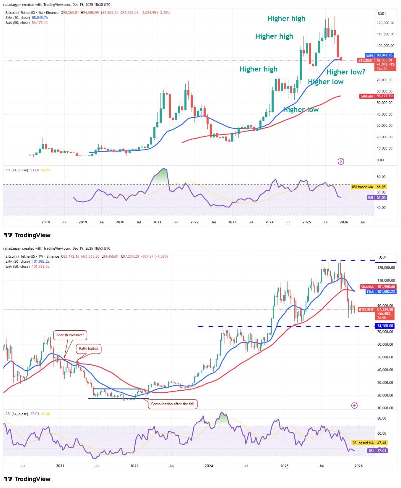 بیت ٢۴ | Bit24 tweet media