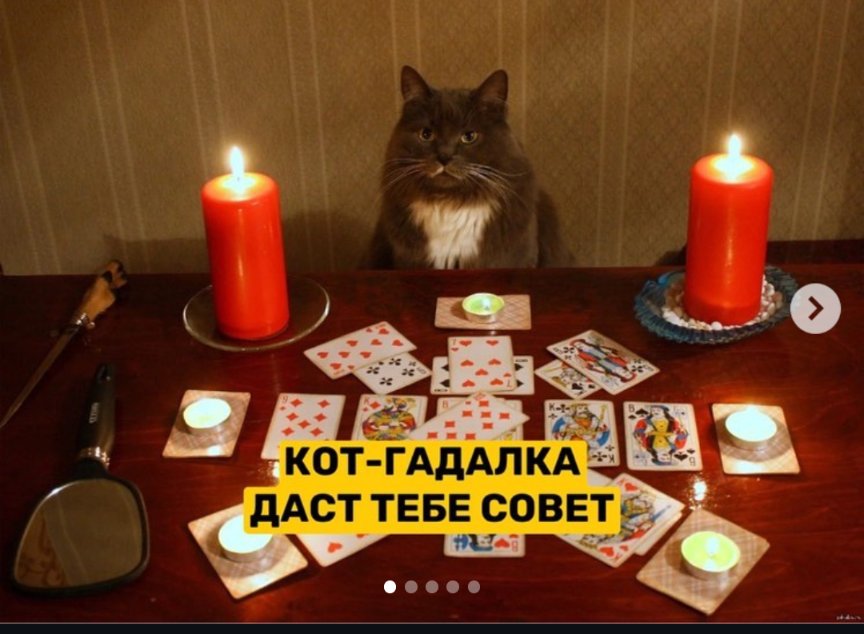 Половинка луны, меховые сыны tweet media