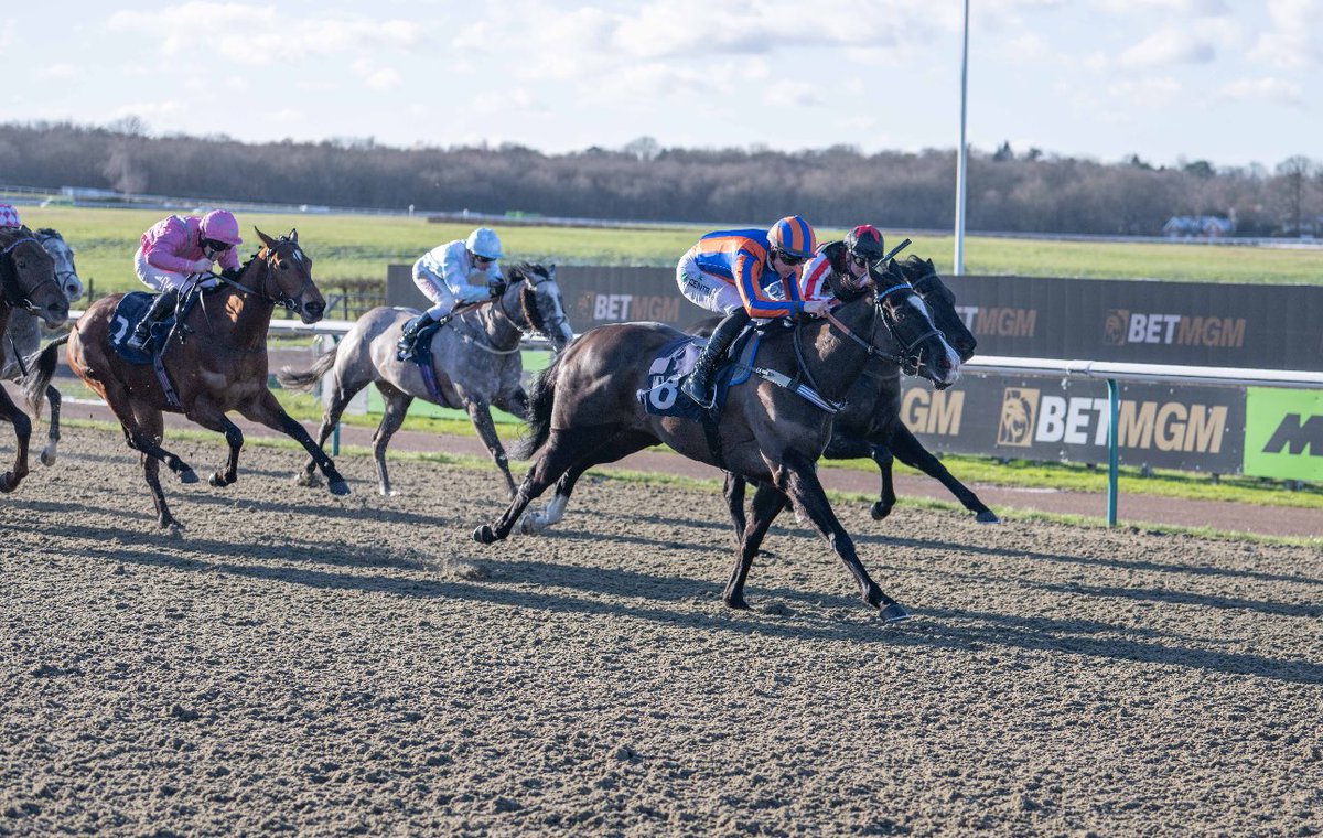 Lingfield Park tweet media