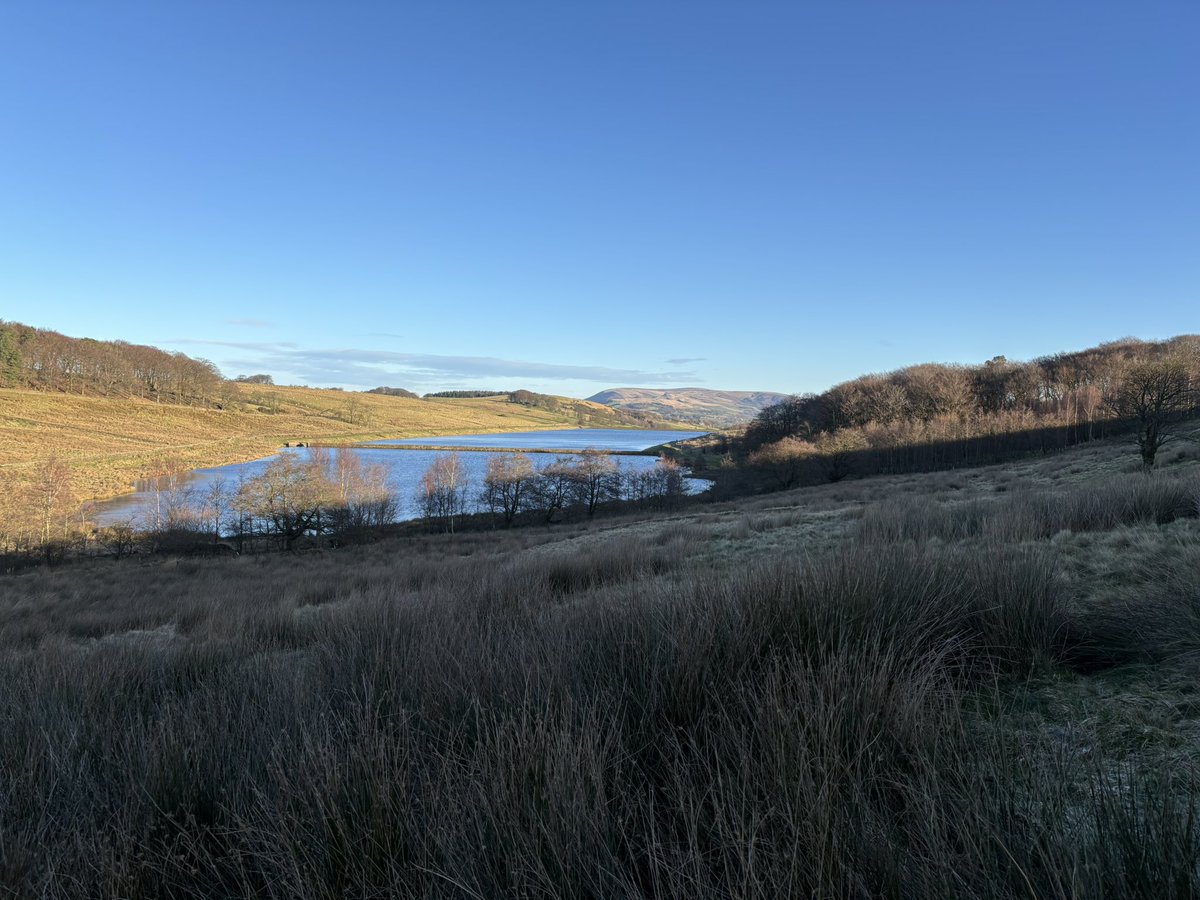 madness4charity's tweet image. New Year’s resolutions…
- get mojo back, sign up and actually complete challenges 
- don’t be so lonely 🥲
- plan another challenge for charity 
- find myself after losing myself the last few years 
- actually tidy the house so it doesn’t drag me down 
#NewYearsResolutions