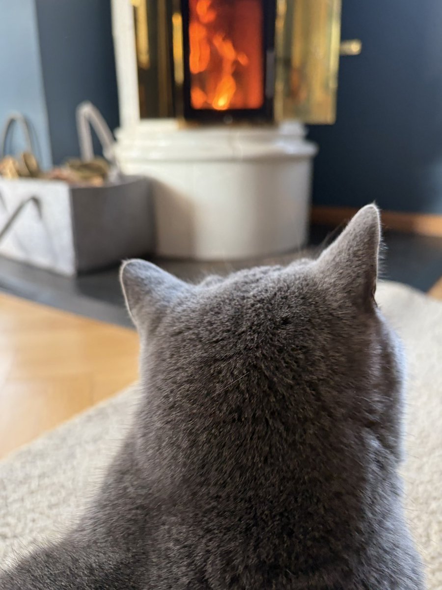 Rudolph Maria Hausinger tweet media