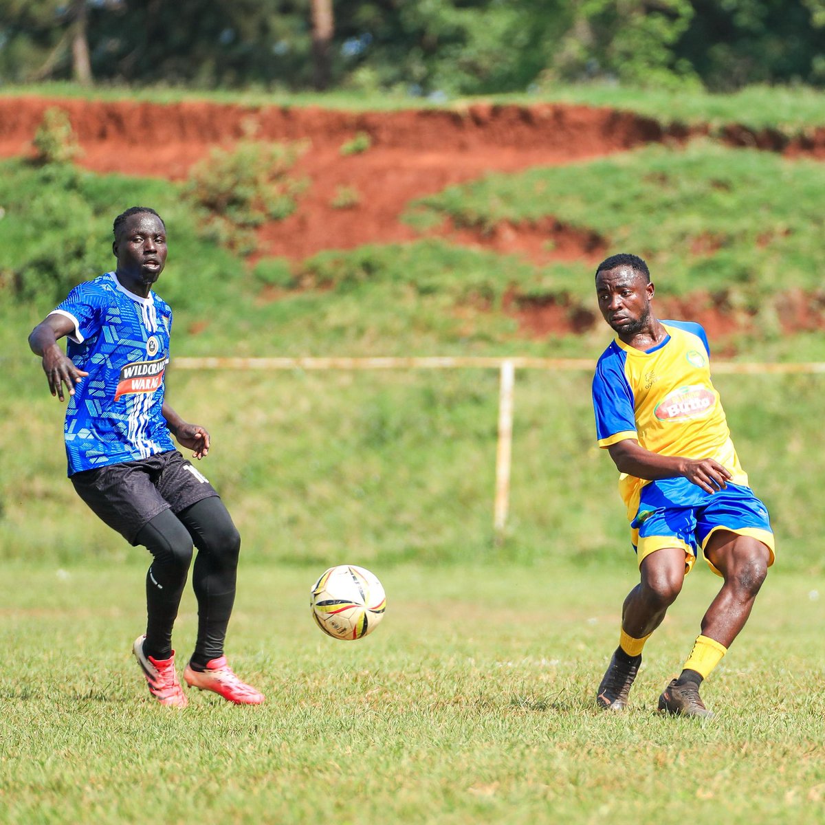 Bulfc1's tweet photo. #PracticeGame
Full time || BUL FC 9-1 Kakiira Sugar FC
Isaac Musiima ⚽️, Alex Kitata ⚽️⚽️, Isaac Wagoina ⚽️, Karim Ndugwa ⚽️, Denis Sewagudde ⚽️, Swabiru Mpasa ⚽️, HillaryOnek ⚽️ and Amisi Yabili Businge ⚽️ || #BULFC || #TheEasternGiants https://t.co/OTQkkNhhvy